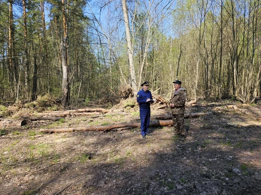 Прокуратура Старомайнского района проводит проверку исполнения законодательства в сфере лесопользования и охраны лесов от пожаров Прокуратура Старомайнского района проводит проверку исполнения законодательства в сфере лесопользования и охраны лесов от пожаров