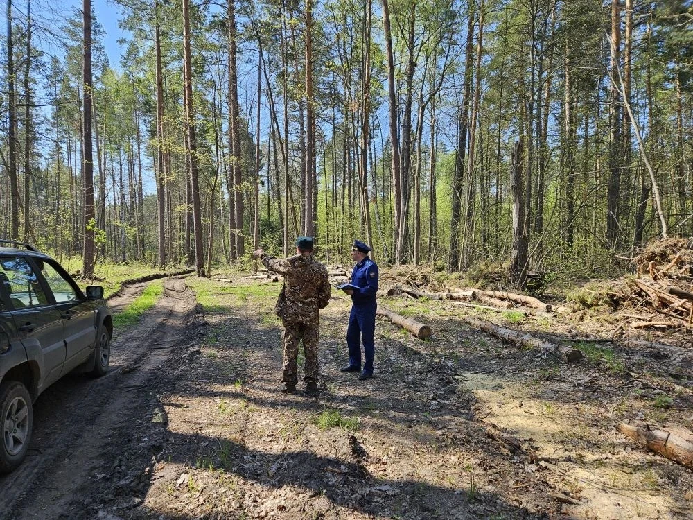 Прокуратура Старомайнского района проводит проверку исполнения законодательства в сфере лесопользования и охраны лесов от пожаров Прокуратура Старомайнского района проводит проверку исполнения законодательства в сфере лесопользования и охраны лесов от пожаров