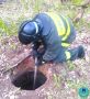 Ульяновские спасатели помогли лисёнку, упавшему в колодец в Заволжском районе