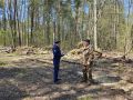 Прокуратура Старомайнского района проводит проверку исполнения законодательства в сфере лесопользования и охраны лесов от пожаров