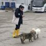 В Баратаевке ветеринары проверили безнадзорных животных