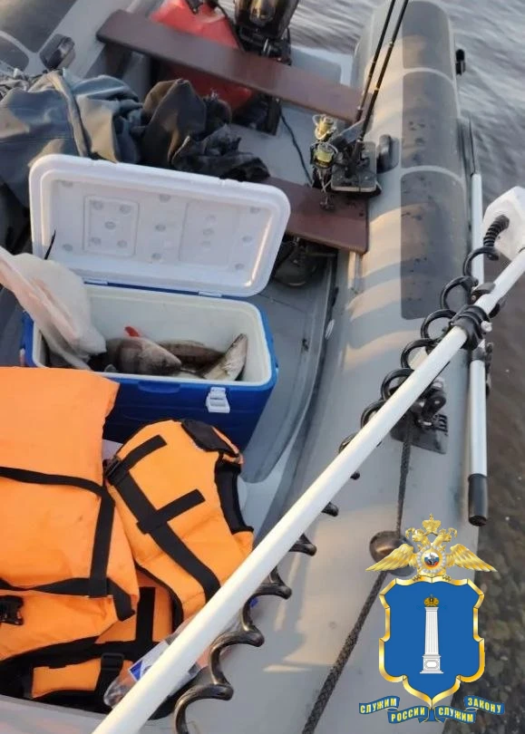 Ульяновские полицейские выявили факт незаконного вылова водных биологических ресурсов Ульяновские полицейские выявили факт незаконного вылова водных биологических ресурсов