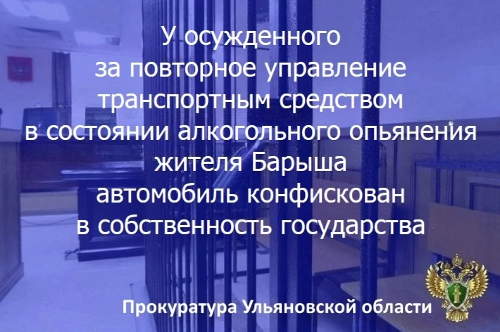 Барышский городской суд Ульяновской области вынес приговор по уголовному делу в отношении жителя региона