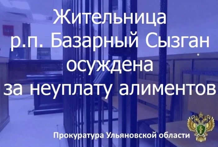 Инзенский районный суд Ульяновской области вынес приговор по уголовному делу в отношении жительницы региона