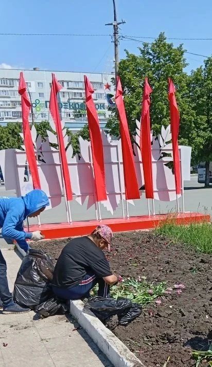 Узор из ломаных линий появится на цветниках главной площади Заволжья