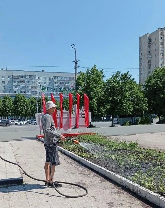 Узор из ломаных линий появится на цветниках главной площади Заволжья Узор из ломаных линий появится на цветниках главной площади Заволжья