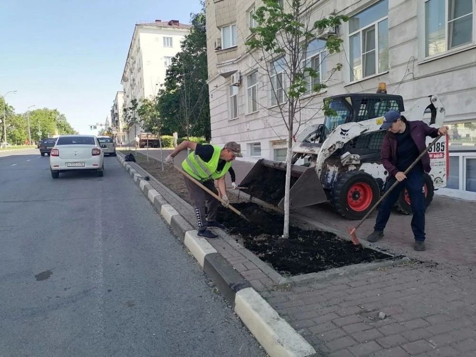 Озеленители восстанавливают газоны на улице Гончарова Озеленители восстанавливают газоны на улице Гончарова