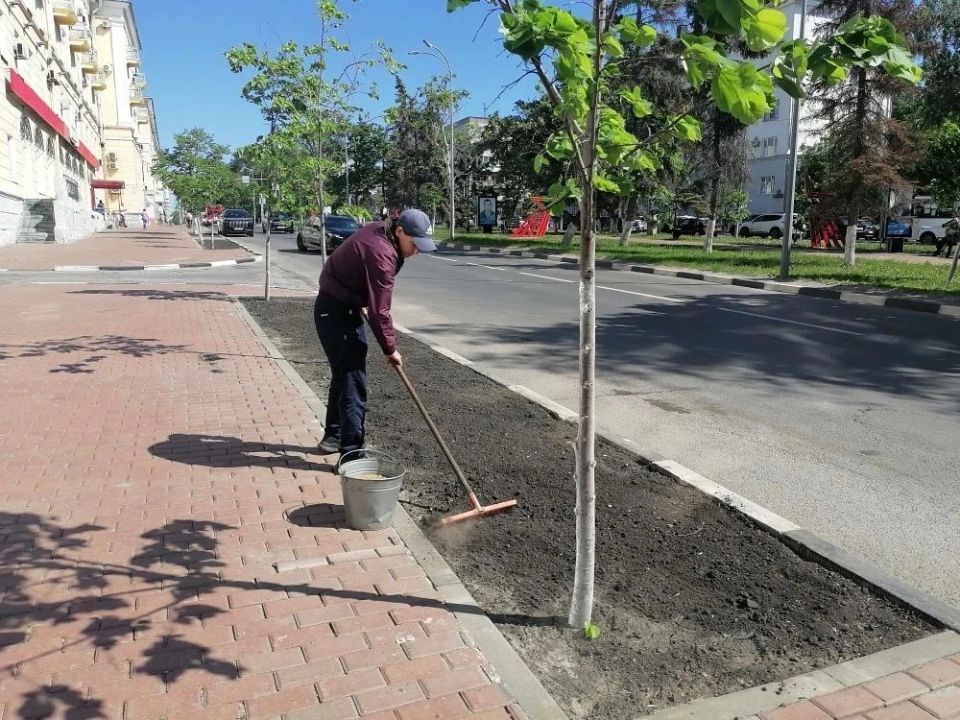 Озеленители восстанавливают газоны на улице Гончарова