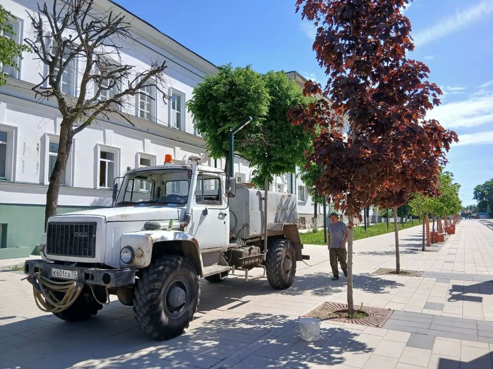 Горзеленхоз, заботясь о красных кленах Театрального сквера, поливает деревья водой с примесью минералов, стимулирующую корнеобразование Горзеленхоз, заботясь о красных кленах Театрального сквера, поливает деревья водой с примесью минералов, стимулирующую корнеобразование