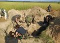 В весеннюю «Вахту памяти» ульяновские поисковики помогли найти останки пяти красноармейцев