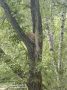 В редакцию «Ульяновск сегодня» пишут :