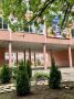 В ульяновской школе №50 разбили Аллею выпускников