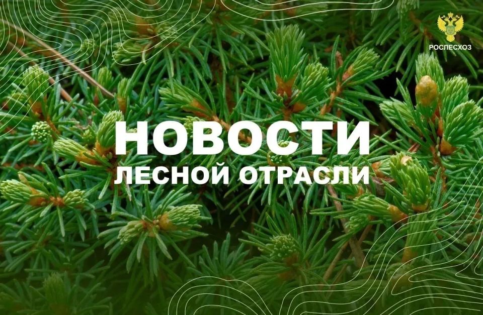 Нижегородская Правда: Более 300 специалистов приняли участие в форуме «Цифровой лес»