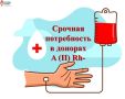 Среди ульяновцев срочно ищут доноров со второй группой крови и отрицательным резус-фактором