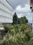 В центре Ульяновска на улице Гимова озеленители высадили более 1800 растений