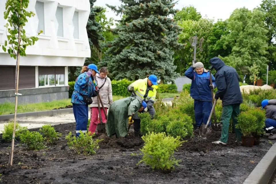Вместо пустого газона появилась дизайнерская зелёная композиция из 1700 растений: в Ульяновске благодаря участию бизнеса благоустроили зелёную зону между УлГПУ и Краеведческим музеем