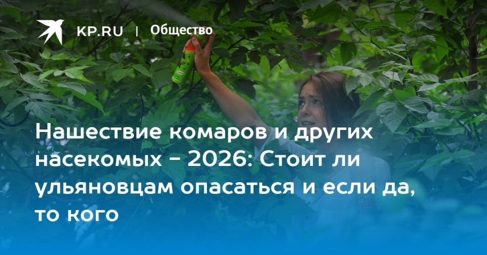 Нашествие комаров и других насекомых — 2026: Стоит ли ульяновцам опасаться и если да, то кого