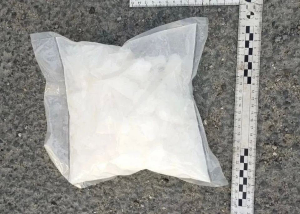 В Ульяновской области поймали двух наркокурьеров с килограммом метадона