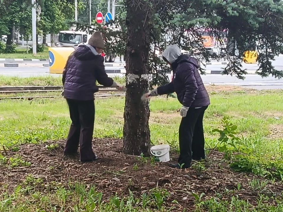 Сегодня — санитарная пятница! Сегодня — санитарная пятница!