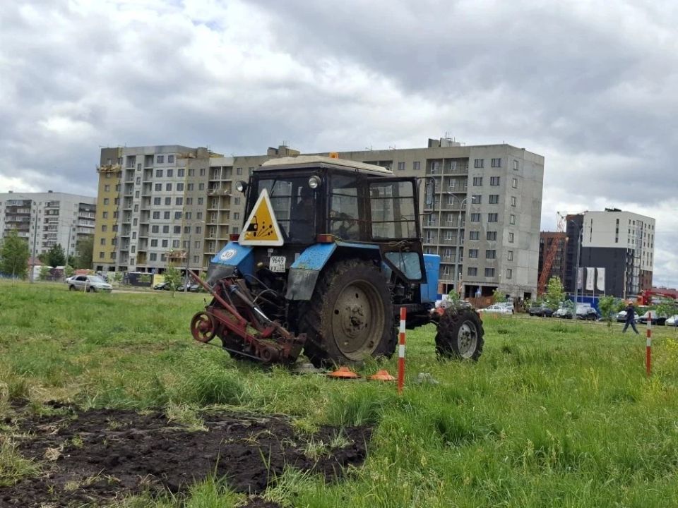 В Заволжском районе города проходит санитарная пятница В Заволжском районе города проходит санитарная пятница