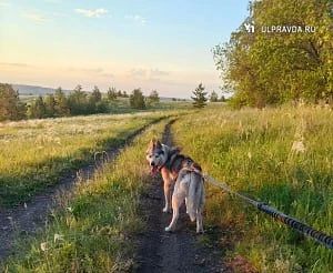 Провожаем май и врываемся в лето