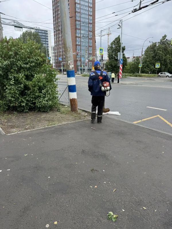 В Заволжском районе города проходит санитарная пятница В Заволжском районе города проходит санитарная пятница