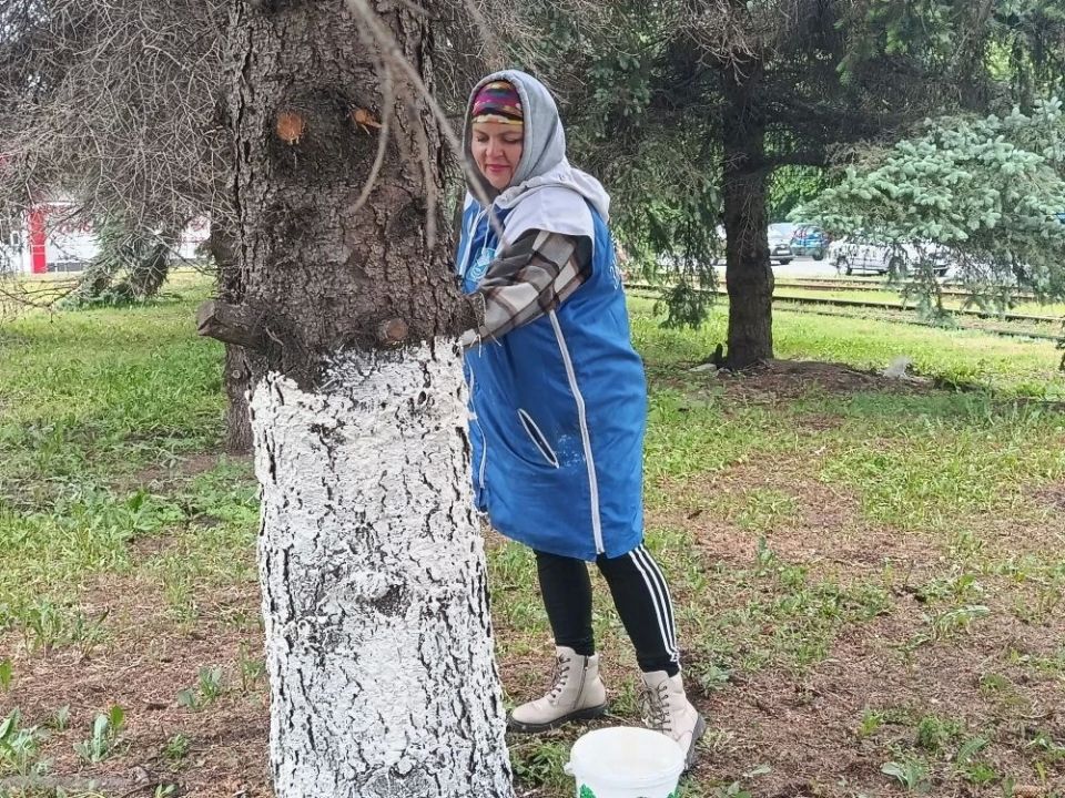 Сегодня — санитарная пятница! Сегодня — санитарная пятница!