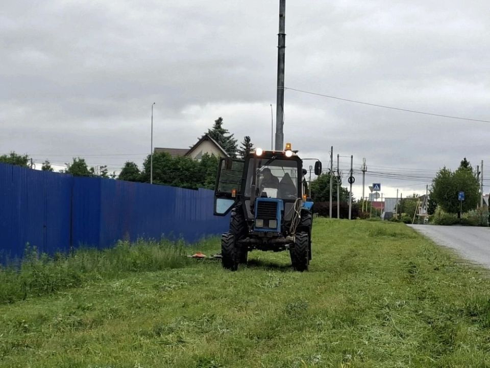 В Заволжском районе города проходит санитарная пятница В Заволжском районе города проходит санитарная пятница