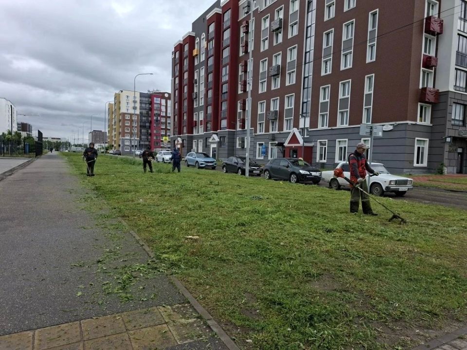 В Заволжском районе города проходит санитарная пятница В Заволжском районе города проходит санитарная пятница
