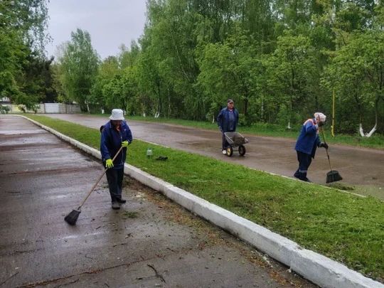 Для планировки дорог на Северном кладбище задействуют тяжёлую спецтехнику Для планировки дорог на Северном кладбище задействуют тяжёлую спецтехнику