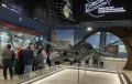 Экспозицию Ундоровского палеонтологического музея в новом здании посмотрели уже 6000 посетителей