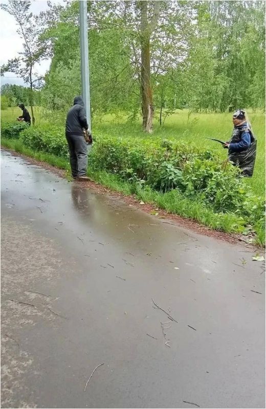 В выходные в Ульяновске продолжился ремонт дорог, покос травы и вывоз смёта В выходные в Ульяновске продолжился ремонт дорог, покос травы и вывоз смёта
