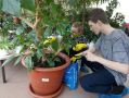 Педагоги Детского эколого-биологического центра помогают формировать у школьников бережное отношение к природе