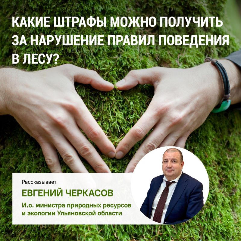 Бережное отношение к лесу начинается с соблюдения простых, но очень важных правил: не мусорить, не жечь сухую траву, не причинять вред животным