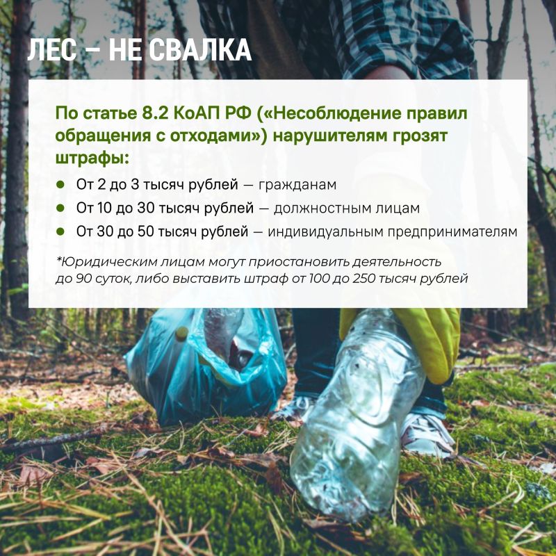 Бережное отношение к лесу начинается с соблюдения простых, но очень важных правил: не мусорить, не жечь сухую траву, не причинять вред животным Бережное отношение к лесу начинается с соблюдения простых, но очень важных правил: не мусорить, не жечь сухую траву, не причинять вред животным