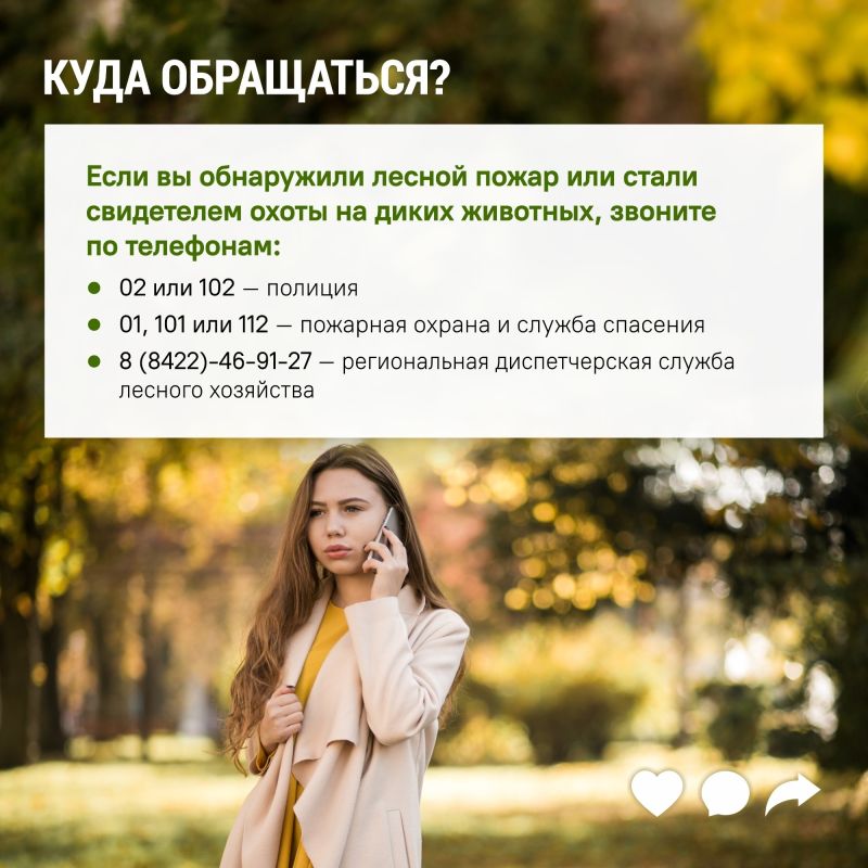 Бережное отношение к лесу начинается с соблюдения простых, но очень важных правил: не мусорить, не жечь сухую траву, не причинять вред животным Бережное отношение к лесу начинается с соблюдения простых, но очень важных правил: не мусорить, не жечь сухую траву, не причинять вред животным