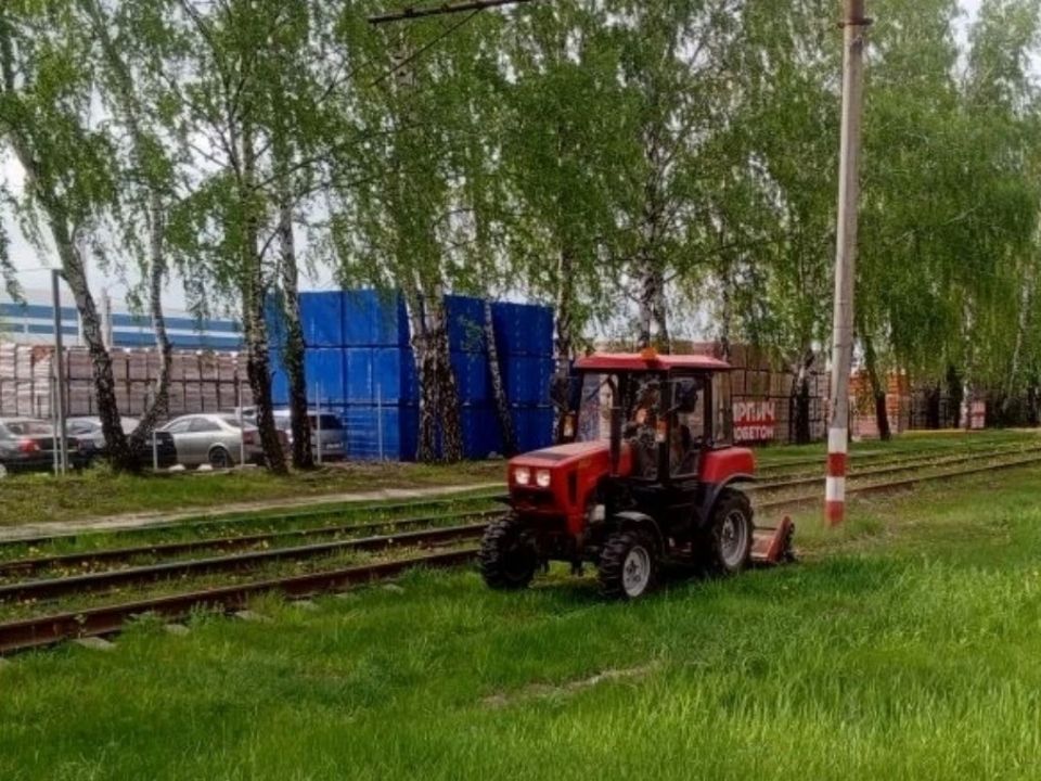 Борьба с сорной растительностью вдоль трамвайных путей Борьба с сорной растительностью вдоль трамвайных путей