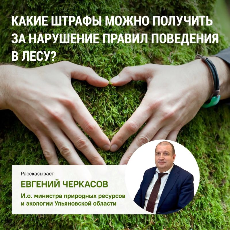 Ульяновцам напомнили о штрафах за нарушение правил безопасности в лесу