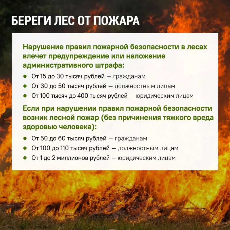 Ульяновцам напомнили о штрафах за нарушение правил безопасности в лесу Ульяновцам напомнили о штрафах за нарушение правил безопасности в лесу