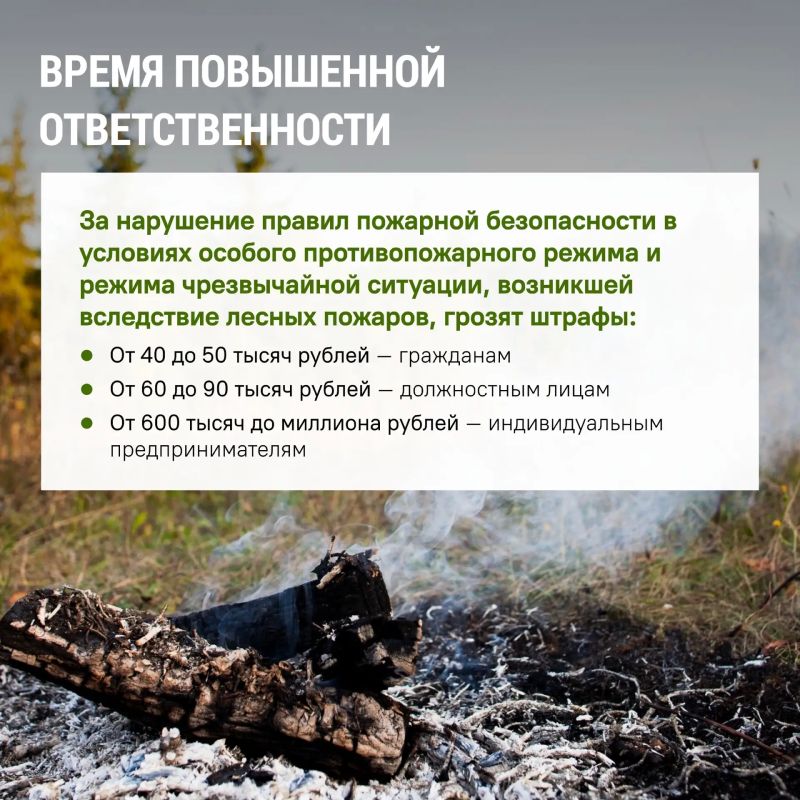 Ульяновцам напомнили о штрафах за нарушение правил безопасности в лесу Ульяновцам напомнили о штрафах за нарушение правил безопасности в лесу