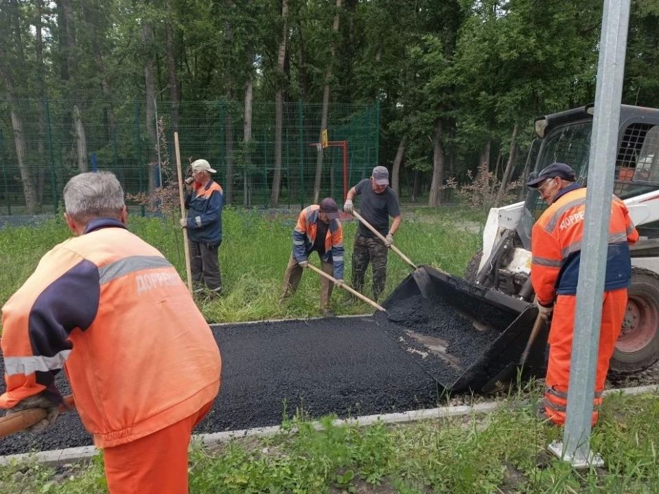 Ульяновские городские службы с помощью подрядчиков активизировали покос травы Ульяновские городские службы с помощью подрядчиков активизировали покос травы