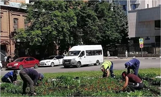 Ульяновские городские службы с помощью подрядчиков активизировали покос травы Ульяновские городские службы с помощью подрядчиков активизировали покос травы
