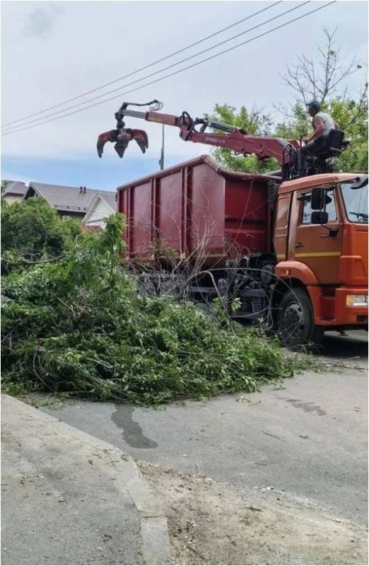Ульяновские городские службы с помощью подрядчиков активизировали покос травы Ульяновские городские службы с помощью подрядчиков активизировали покос травы