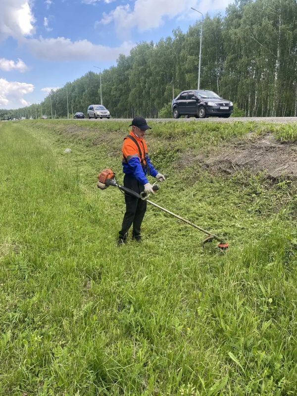Ульяновские городские службы с помощью подрядчиков активизировали покос травы Ульяновские городские службы с помощью подрядчиков активизировали покос травы