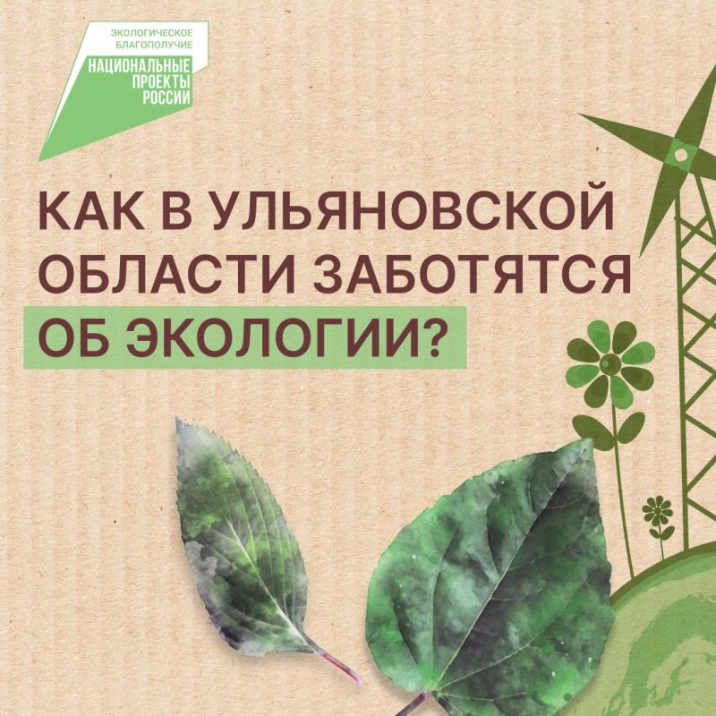 Новые леса, чистые реки и благоустроенные родники – все это часть большой работы по улучшению экологической ситуации в Ульяновской области