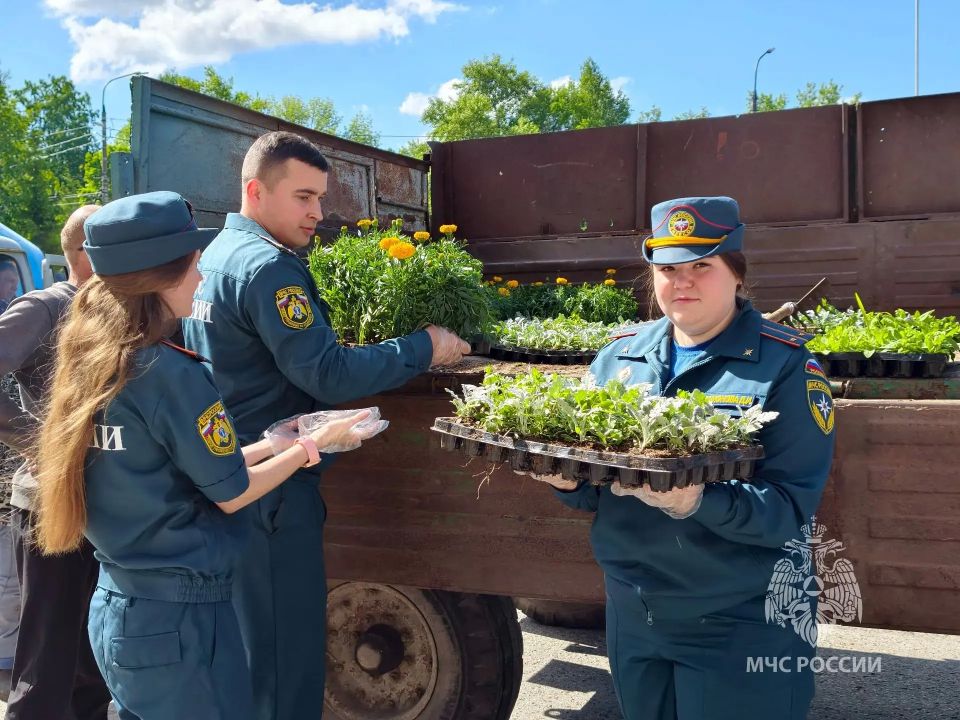 Коллективный труд на благо общего дома Коллективный труд на благо общего дома