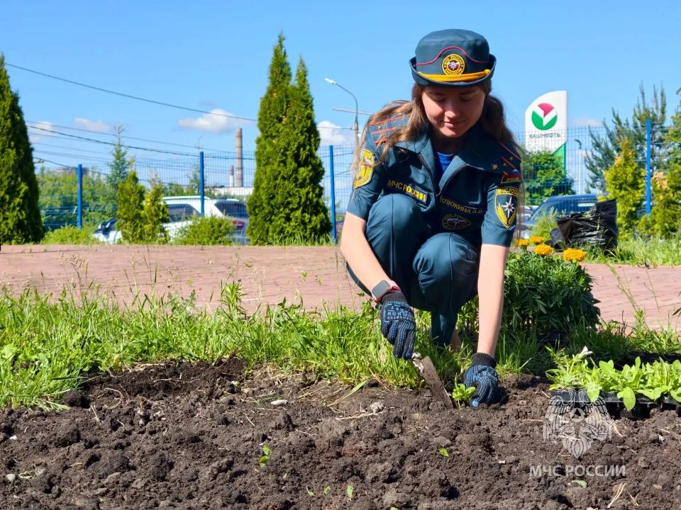 Коллективный труд на благо общего дома Коллективный труд на благо общего дома