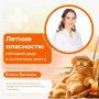 С приходом тепла многие отправляются отдыхать к воде и загорать на солнце