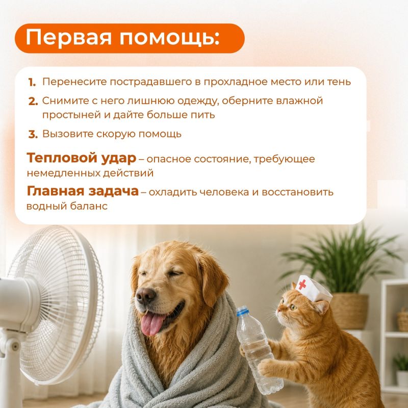 С приходом тепла многие отправляются отдыхать к воде и загорать на солнце С приходом тепла многие отправляются отдыхать к воде и загорать на солнце