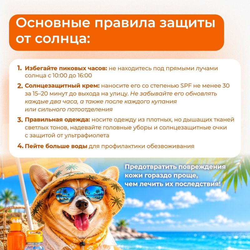 С приходом тепла многие отправляются отдыхать к воде и загорать на солнце С приходом тепла многие отправляются отдыхать к воде и загорать на солнце